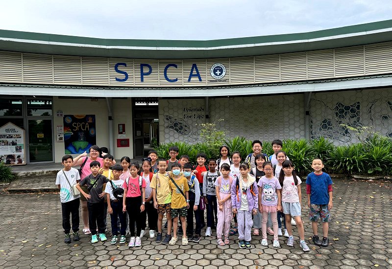 SPCA Visit - 6 June 2025